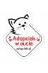 Naklejka samochodowa adopciak w aucie - kot