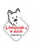 Naklejka samochodowa adopciak w aucie - pies