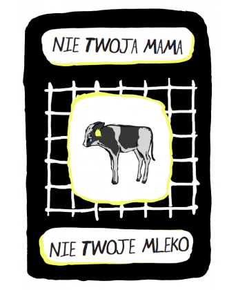 Pakiet 50 ulotek kampanii Białe Kłamstwa
