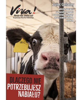 broszura "Dlaczego nie potrzebujesz nabiału"