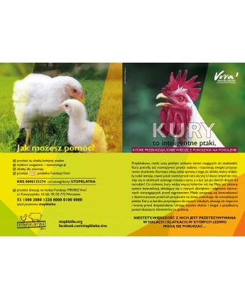 Pakiet 50 ulotek kampanii o kurach (brojlery)