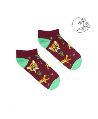 Skarpetki stopki rysie