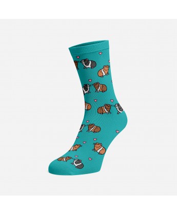 Skarpetki Viva! Gryzonie '23 ŚWINKA MORSKA