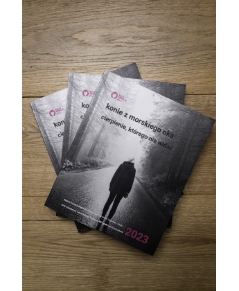 „Konie z Morskiego Oka. Cierpienie, którego nie widać”