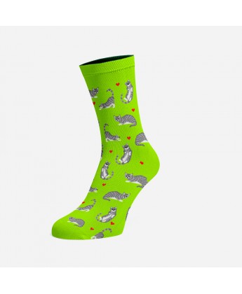 Skarpetki Viva! '24 Kotki Krzyśki