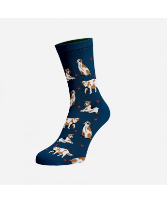 Skarpetki Viva! '24 Pieski Seniorki