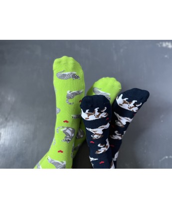 ZESTAW Skarpetek Viva! '24 Kotki Krzyśki + Pieski Seniorki