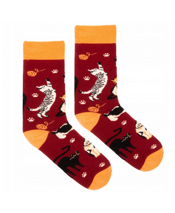 Skarpetki bordowe Koty