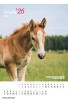 Kalendarz Ratuj Konie 2026 - PRZEDSPRZEDAŻ WYSYŁKA OD 01.12.2025